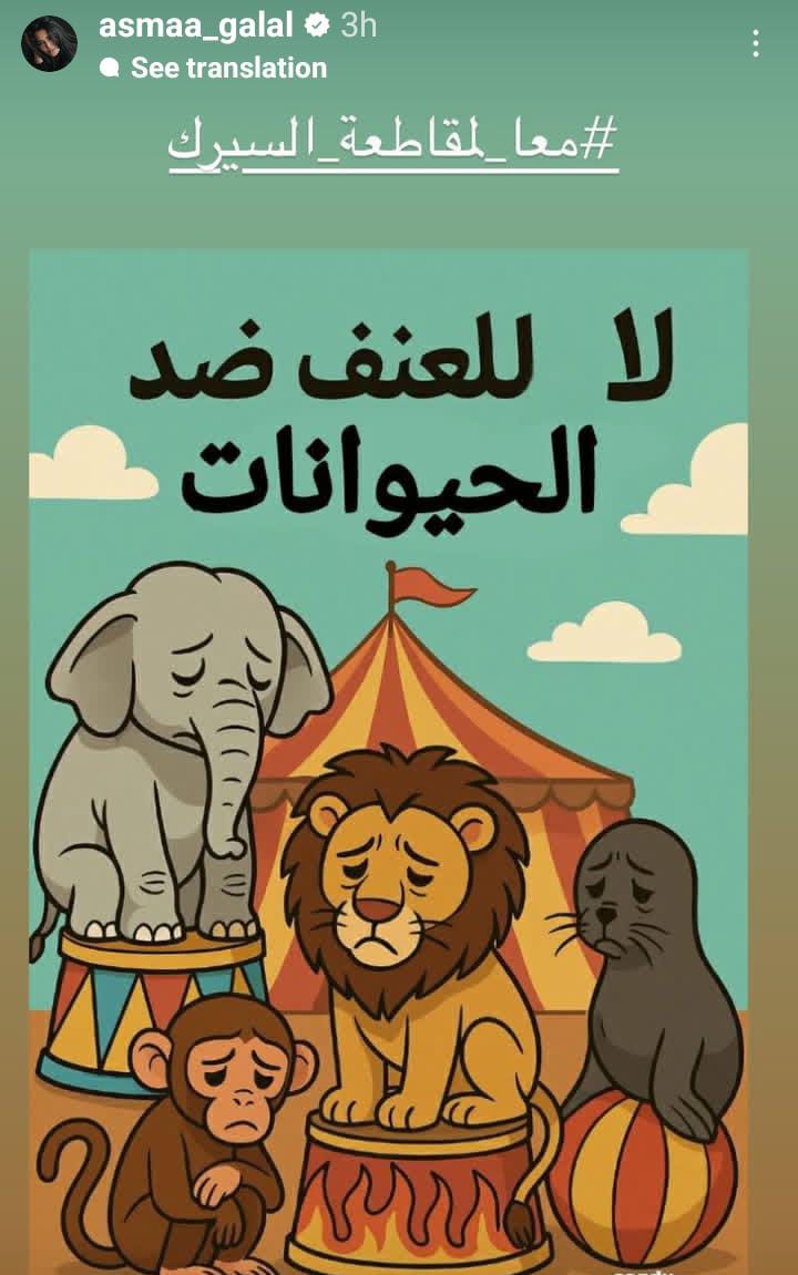 أسماء جلال عبر إنستجرام
