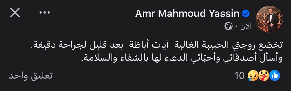 عمرو محمود ياسين
