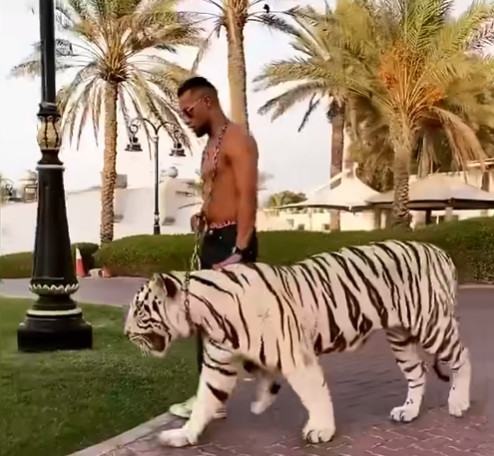 محمد رمضان ونمر