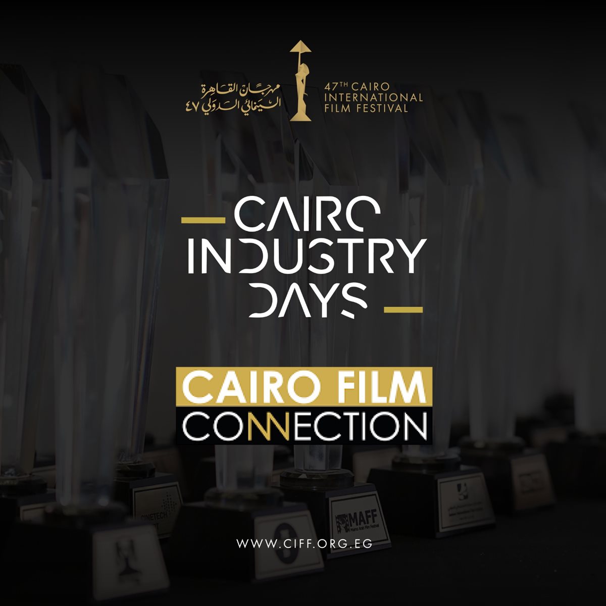مهرجان القاهرة السينمائي الدولي