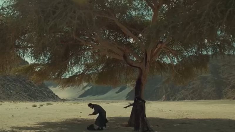 كارافان