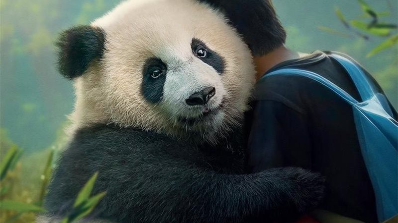 فيلم Moon the Panda