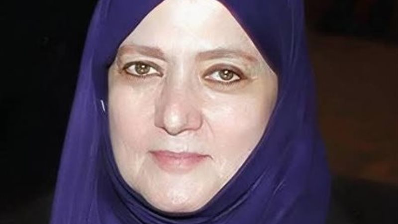 شمس البارودي
