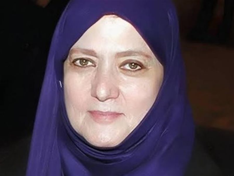 شمس البارودي