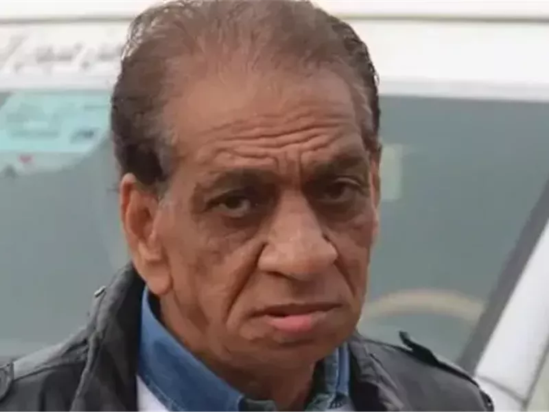 محمد السبكي