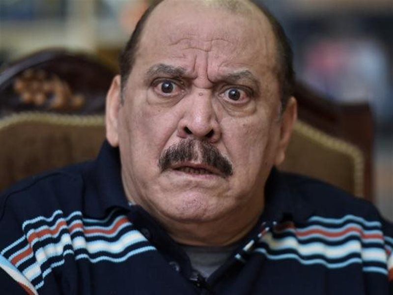 ضياء الميرغني
