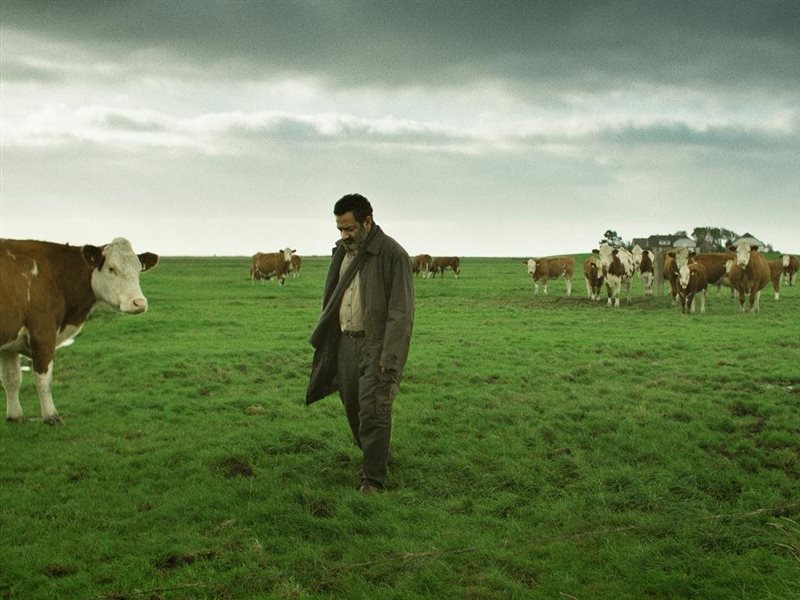 مهرجان روتردام للفيلم