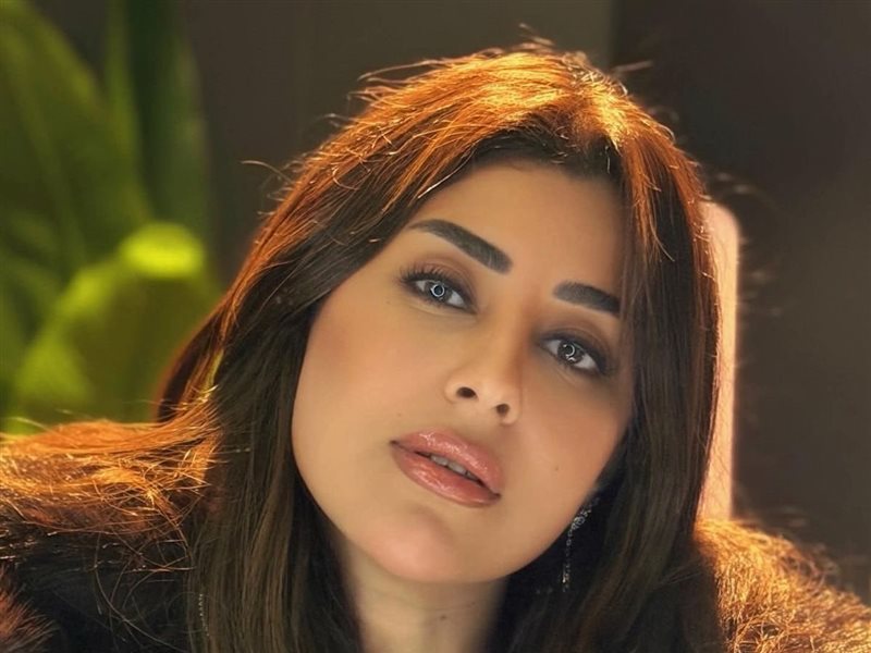 الفنانة آيتن عامر