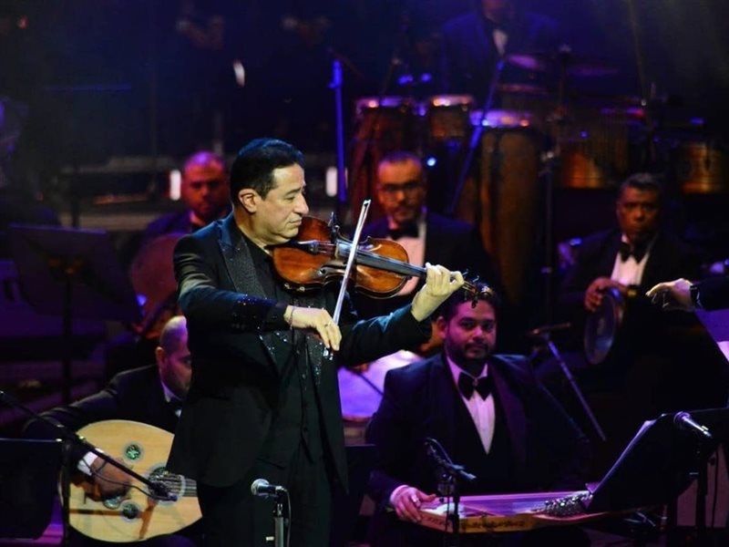 محمد الموجي