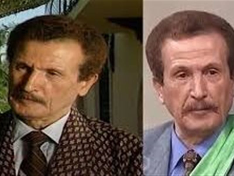 الفنان عبد الجواد متولي