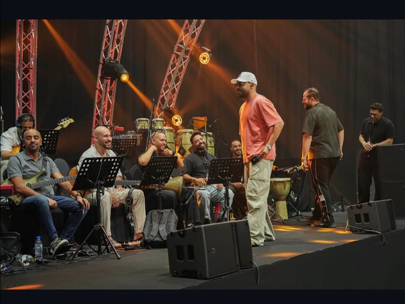 تامر عاشور