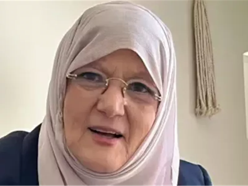 شمس البارودي