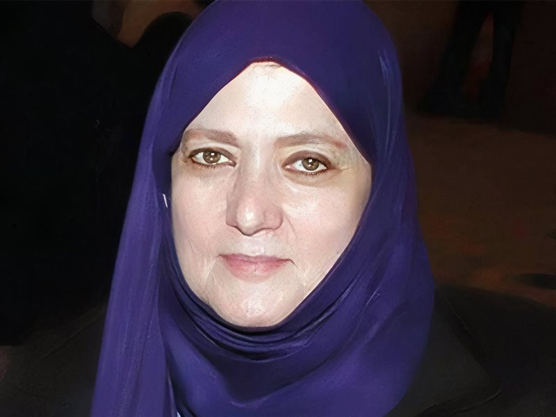 شمس البارودي
