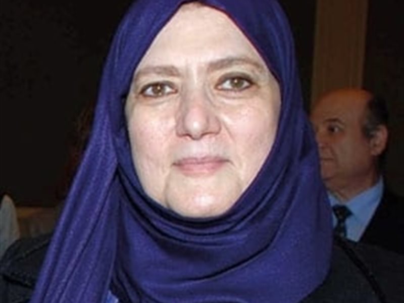 شمس البارودي