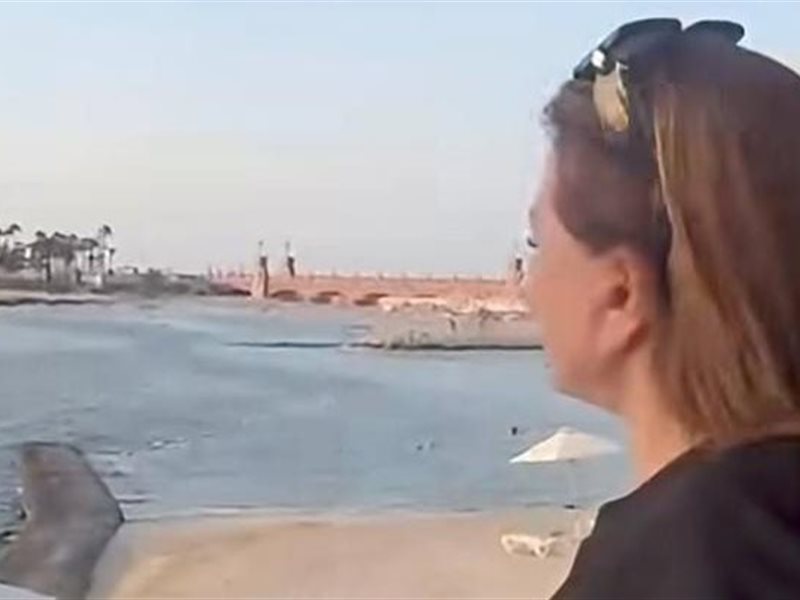 الهام شاهين