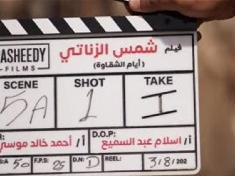 فيلم شمس الزناتي 2